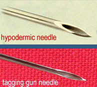hypodermic needle